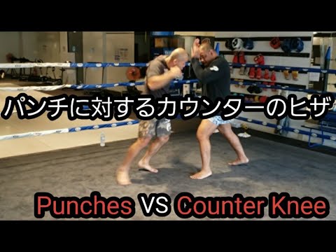 パンチに対するカウンターのヒザ蹴り。Punches VS Counter Knee