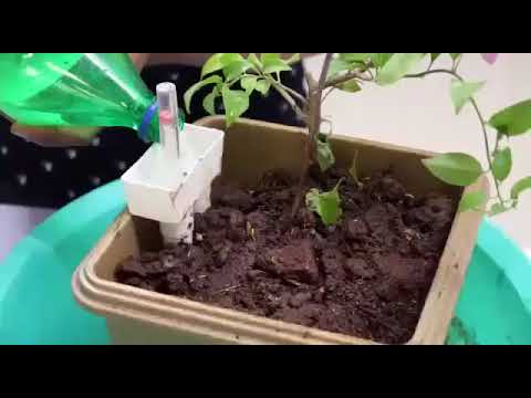 Plantina Self Watering Garden Pot