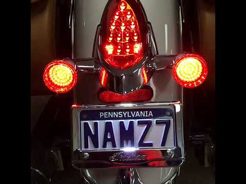 24IR-NAMZ-NITS-R02 Rear Red LED Turn Signals - Indian