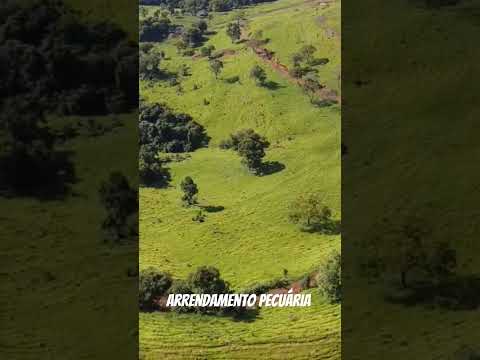 Fazenda para arrendamento na pecuária, localizada na Região de Diamante do Sul, PR. 5 anos contrato