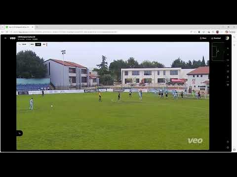 Sličica videa