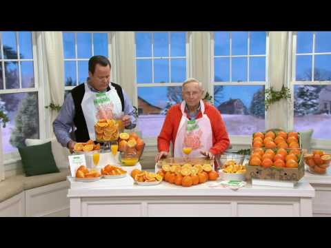 download lagu mp3 mp4 Honeybell Oranges What Are They, download lagu Honeybell Oranges What Are They gratis, unduh video klip Honeybell Oranges What Are They