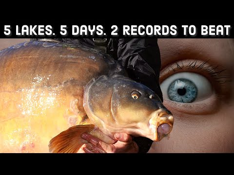 Record Breaking Carp Fishing Lakes - We return to net 5 lakes in 5 days.