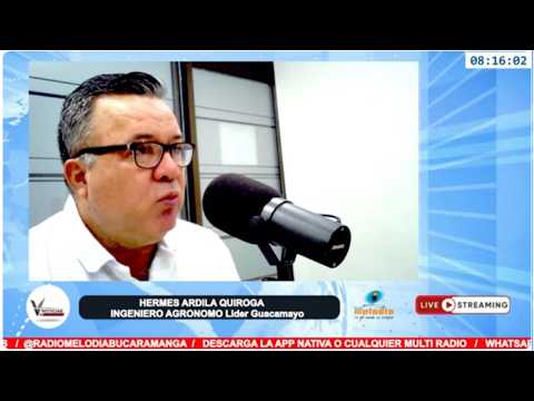 #UVNoticias Guacamayo: historia, agricultura, turismo y tradición en el corazón de Santander