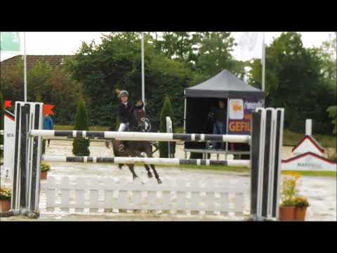 San Benedetto Z   Punkte S 2017 09 09 Meinerzhagen