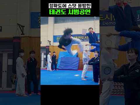 정확도에 스탯 몰빵한 태권도 시범 공연
