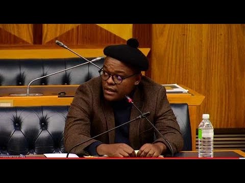 National Youth Development Agency (NYDA) Public Interview, Parliament - Pedro Mzileni