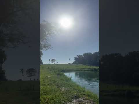 Chacar a venda em Glória D' Oeste a 3 KM MT 250