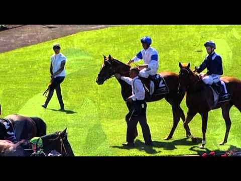 Ascot, 23/01/2016 - Race 4 - TRADEMARK - Trevor Andrews