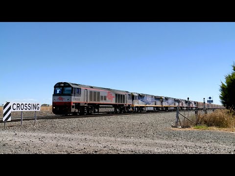 SCT 2PM9 Mixed Freight & Steel Train With 5 Diesel Locomotives (31/1/2025) - PoathTV Railways