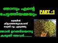 Payar Thoran Recepie Malayalam Latest Cooking Kambi