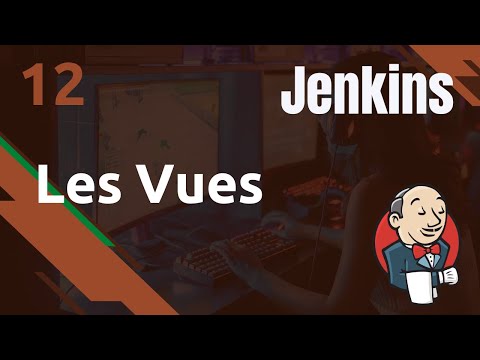 JENKINS 12 LES VUES