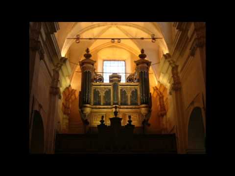 Les Sauvages - Concerto pour orgue et orchestre- Jean-Philippe Rameau