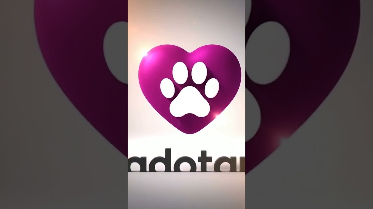 Gato raça SRD-ViraLata idade 2 a 6 meses nome Noite