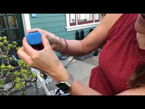 GPS Whistle Go How To