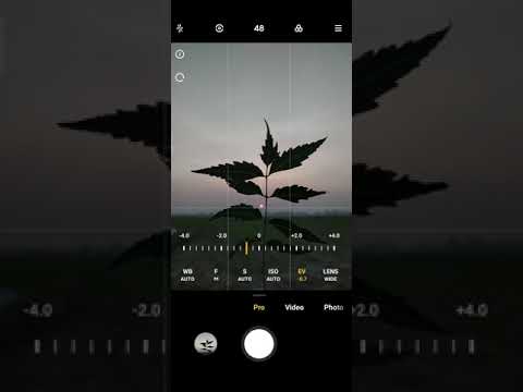 Mobile Photography With Redmi Note 8 #shorts  : Nesar Khan Bdp