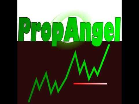 Video PropAngel Equity Manager