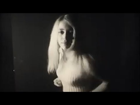 The Vejtables - Shadows