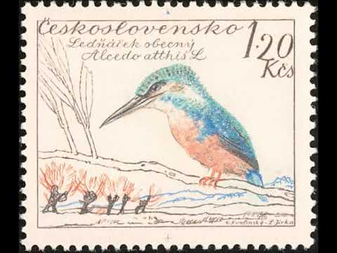 Video thumbnail for The Storm (Op. 34, No. 3)