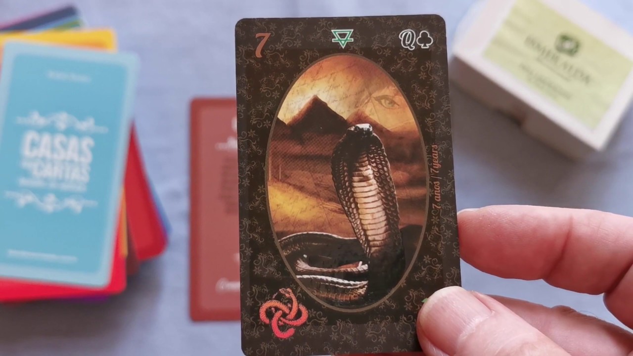 Carta do dia:  COBRA