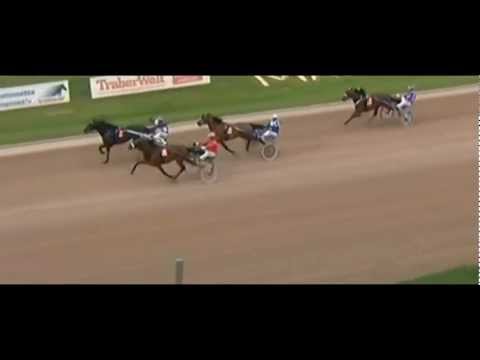 Buddenbrock-Rennen 2012_Stallion_Global Challenger_Michael Schmid