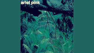 Ariel Pink - Tears on Fire