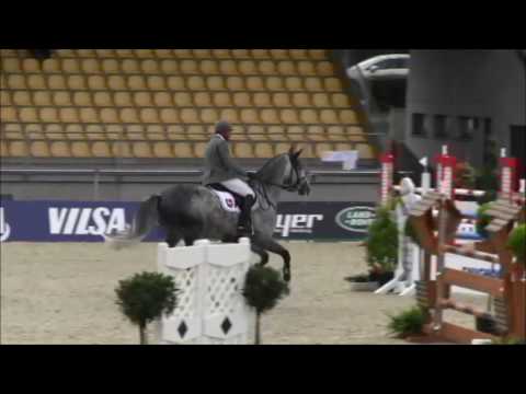 Diacontinus Springpferde M Verden 2016