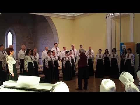 ISTRAMUSICA 2018 - Competition - Academica Bucovina (Romania)