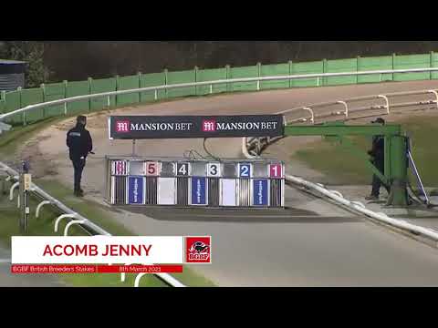 Acomb Jenny - BGBF British Breeders Stakes - Heat 6