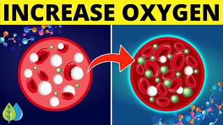 9 Ways to Increase Blood Oxygen Levels Naturally | How to Increase Oxygen Level in Body