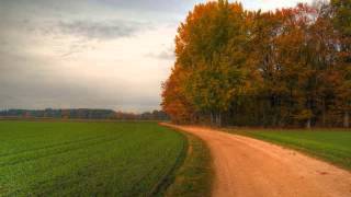 Revival is in the Land by Eric Nuzum