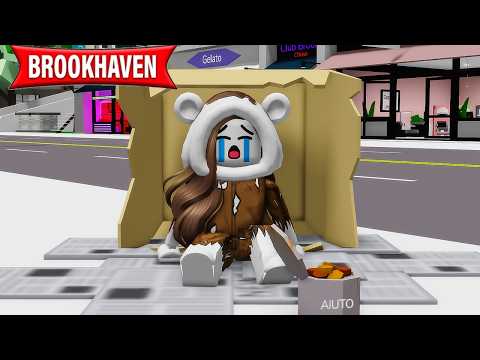 il nuovo aggiornamento di brookhaven è contro i poveri.