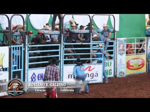 Ibirarema Rodeo 2015 - BEST RIDES / SEMI-FINAL