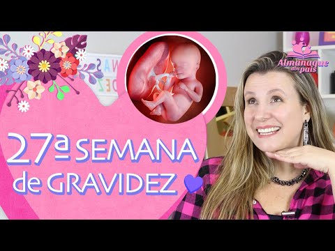 27ª SEMANA DE GESTAÇÃO | 7 Meses, Como está o bebê, Riscos Pré-eclâmpsia | 3º TRIMESTRE DE GRAVIDEZ