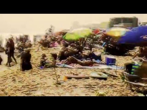 laure phelin - meltron