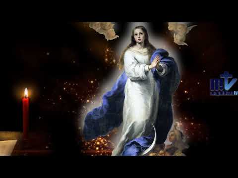 Oración a María Día 11: María en Nazaret es esencia purísima de júbilo y gozo donde aprendió su humanidad Jesús  | Franciscanos de María