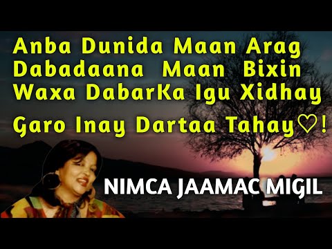 nimco jaamac anbe dunida maan arag | waxa dabarka lagu xidhay | Neima Djama | anbe dunida maan arag