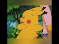 PIKACHU AND MISTY AFRAID FOR BUGS POKEMON