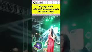 Download lagu 12 September 2025 mp3