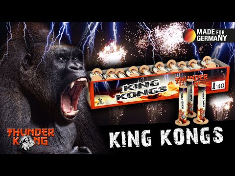 King Kongs - 03828  |  CAT F2  |  Official video
