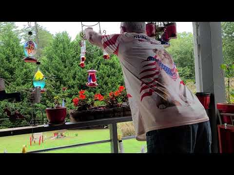 Hublot ranchMini Aussies ,Hummingbirds