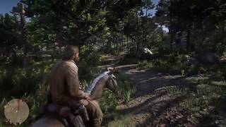 How To Use Auto Travel In Red Dead Redemption 2 (Easy, Quick Guide)