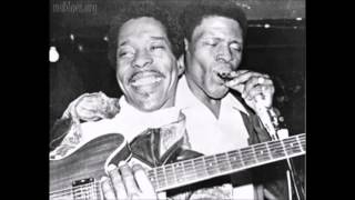 Buddy Guy & Junior Wells    ~   ''Help Me'' , '' Instr. '' & '' Juke'' Live 1978