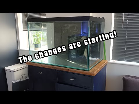 The Ryukin are LEAVING! The big changes are beginning!