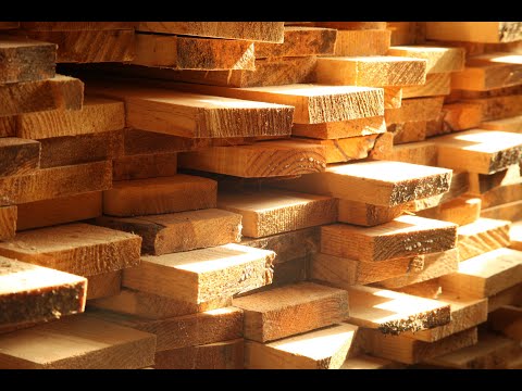 Zobacz filmy, Zakład Drzewny Bartosz Kałużny, Karnin