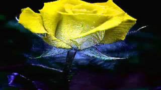 Uma linda música e a beleza das cores em movimento