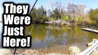 Spring Fishing After a Cold Front & A NEW Place To Buy Fishing Lures
