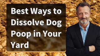 Best Ways to Dissolve Dog Poop in Your Yard