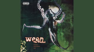 Ween - The Golden Eel (2024 Fan Remaster HQ)