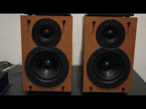 Lepy LP-2020 A class-d Mini Stereo Amplifier with Sony SS-CEX1 Bookshelf Speakers